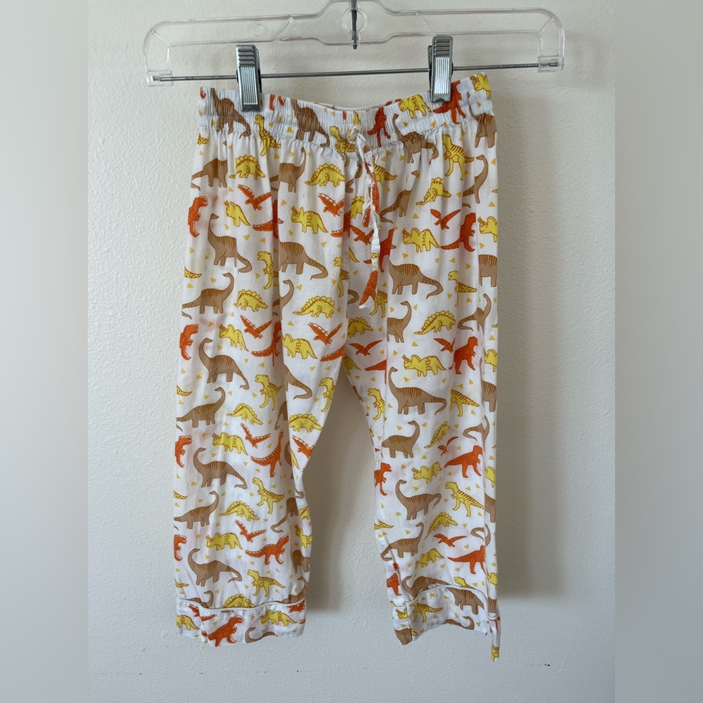 Dino Print Cotton Pajama Set Size: 6 - Picture 4 of 10